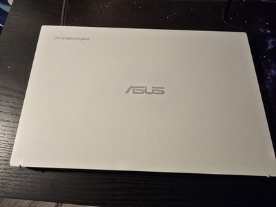 Asus Gaming Laptop Chromebook Plus (Model: CX3402CB) White,Best