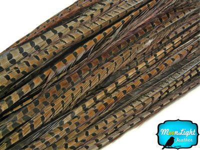 50 Pieces - 20-26'' NATURAL Ringneck Pheasant Tail Wholesale Feathers (bulk)