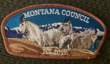 Mint CSP Montana Council FOS 2015 SA-139