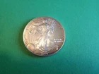 1999 American Silver Eagle 1 Troy Oz .999 Fine Silver Uncirculated