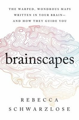 Brainscapes : The Warped, Wondrous Maps Written in Your Brain--An