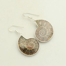Ammonite Fossil Gemstone Handmade Drop Dangle Earrings Jewelry Gift 2
