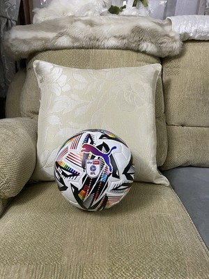 Puma Orbita 1 EFL Sky Bet Fifa Offical Match Ball Größe 5 Rainbow 084307-04 Neu