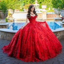 Modern Sleeveless Quinceanera Dresses for Girl Appliques Sweetheart Tulle