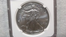 American Eagle MS 70 Graded 2012 Silver Bullion Coins for sale | eBay