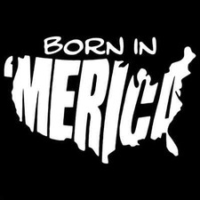 Born in America Vinyl Decal / Sticker 2(TWO) Pack