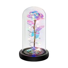 Valentines Day Gifts For Her, Birthday Gifts for Women Rose Gifts for Her,Lig...