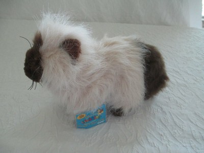 Nwt Webkinz Hm165 Himalayan Long Hair Siamese Kitten Cat 8 Sealed