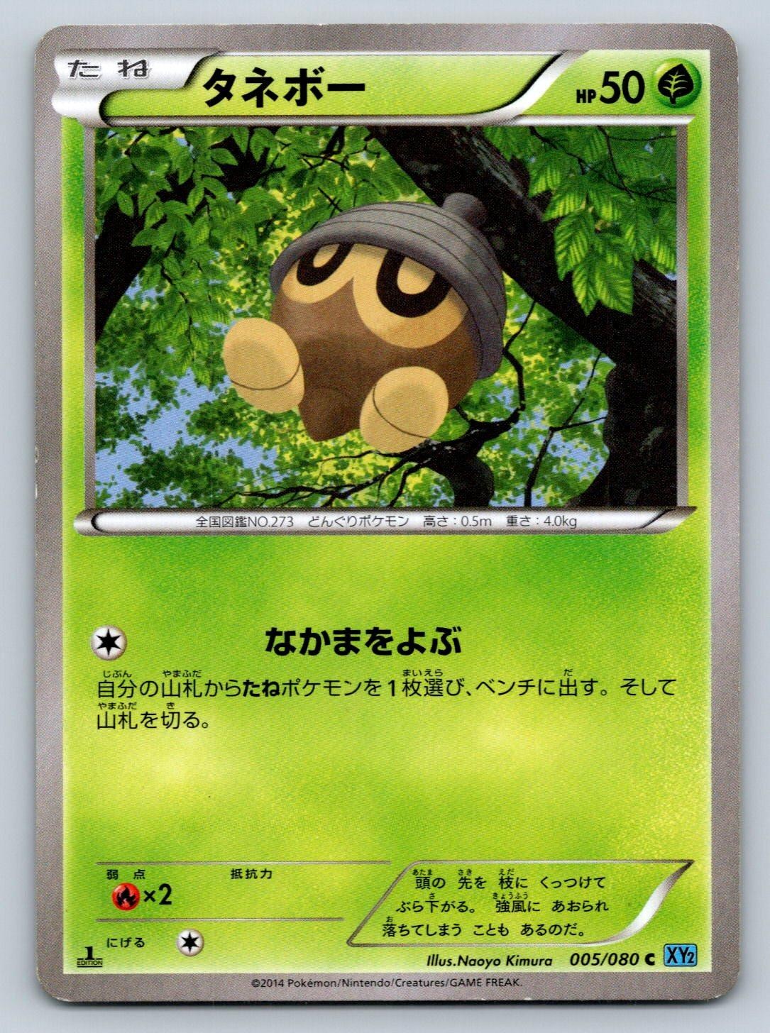 Seedot 005/080 Pokemon Card Japanese XY2 Wild Blaze 1st Edition 2014 - MP