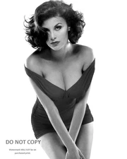 ACTRESS SHERILYN FENN PIN UP - 8X10 PUBLICITY PHOTO (DD-475)