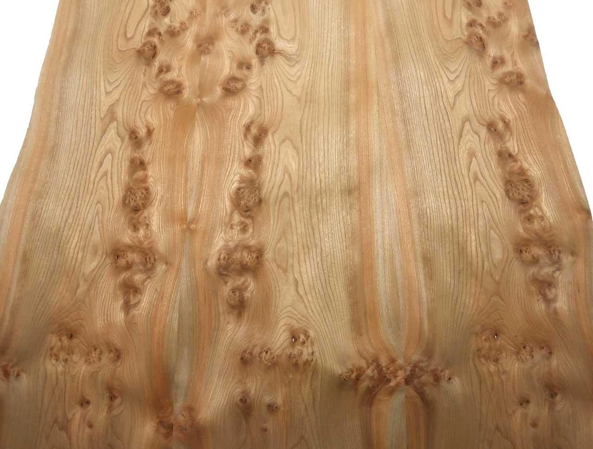 Madera De Raíz Rüster Con Chapas 305x35-44cm 2 Hojas