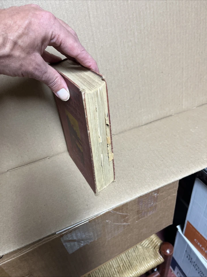 Vintage - Allyn Bacon - Our Environment - Student Book 1940 - Image 4 of 4