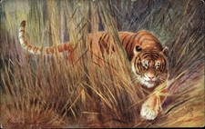 ARTIST SIGNED TUCK 