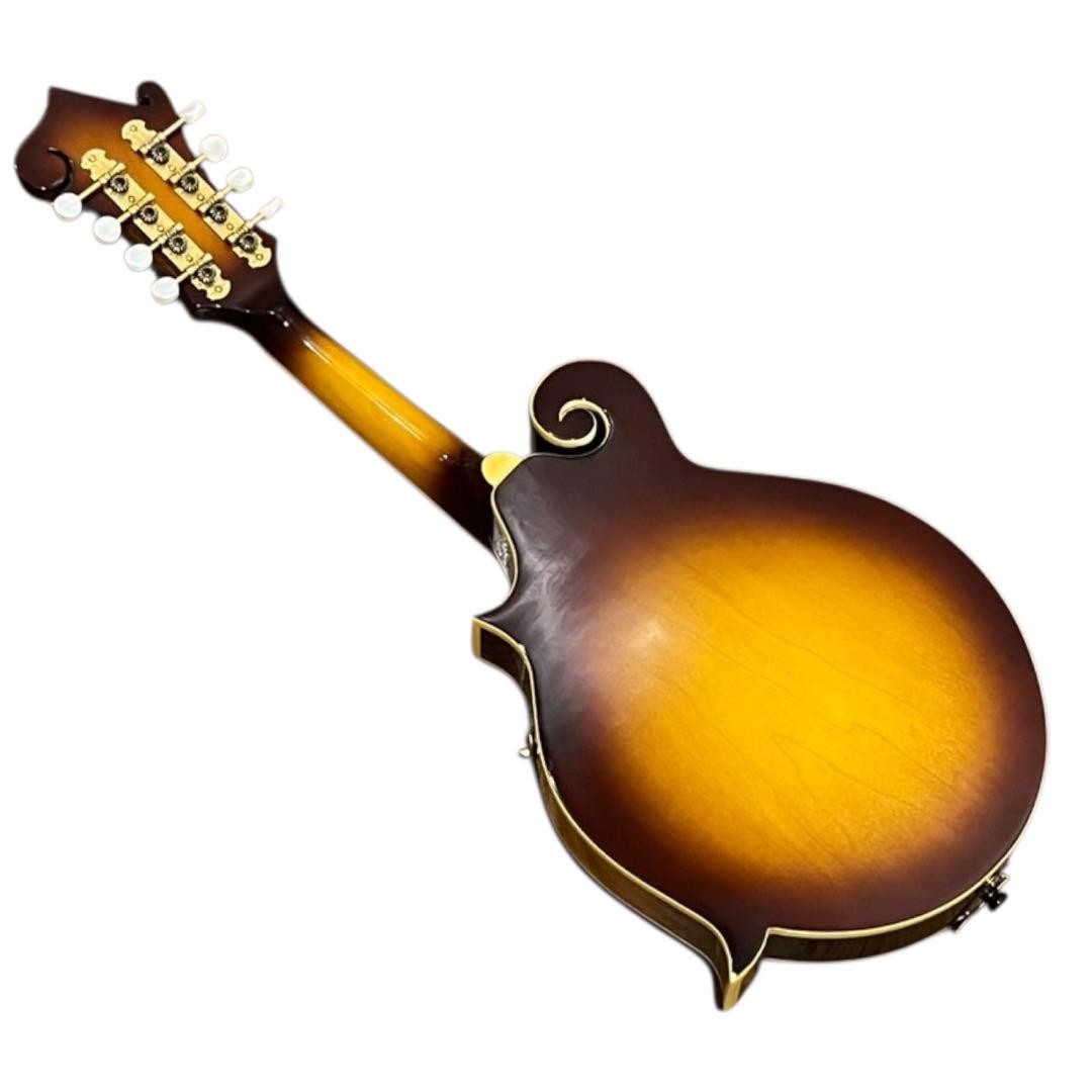 Aria AM-400BS マンドリン Aria Am-400Bs Mandolin | eBay