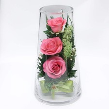  Long Lasting Roses in a Sealed Glass Vase  Fresh Cut Roses   Preserved Ros...