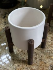 Small Plant Pot, Indoor, Cream And Wooden Stand (fixed).  6cm Diameter 