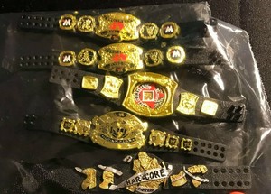 wwe elite championship