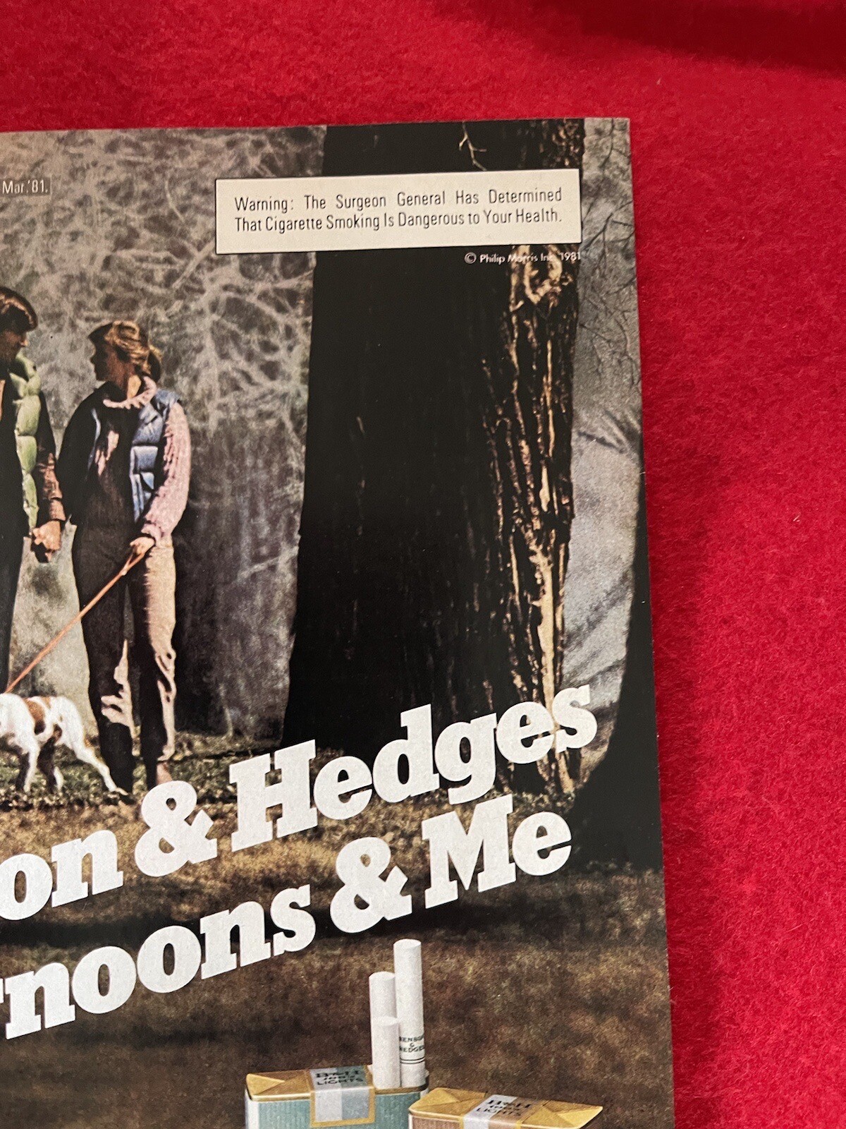 Benson & Hedges Cigarettes 1982 Print Ad Couple Walking Dogs
