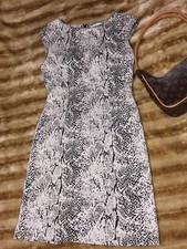 Calvin Klein Women's  Printed Snake-skin Dress Size 8