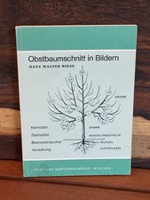 Obstbaumschnitt in Bildern