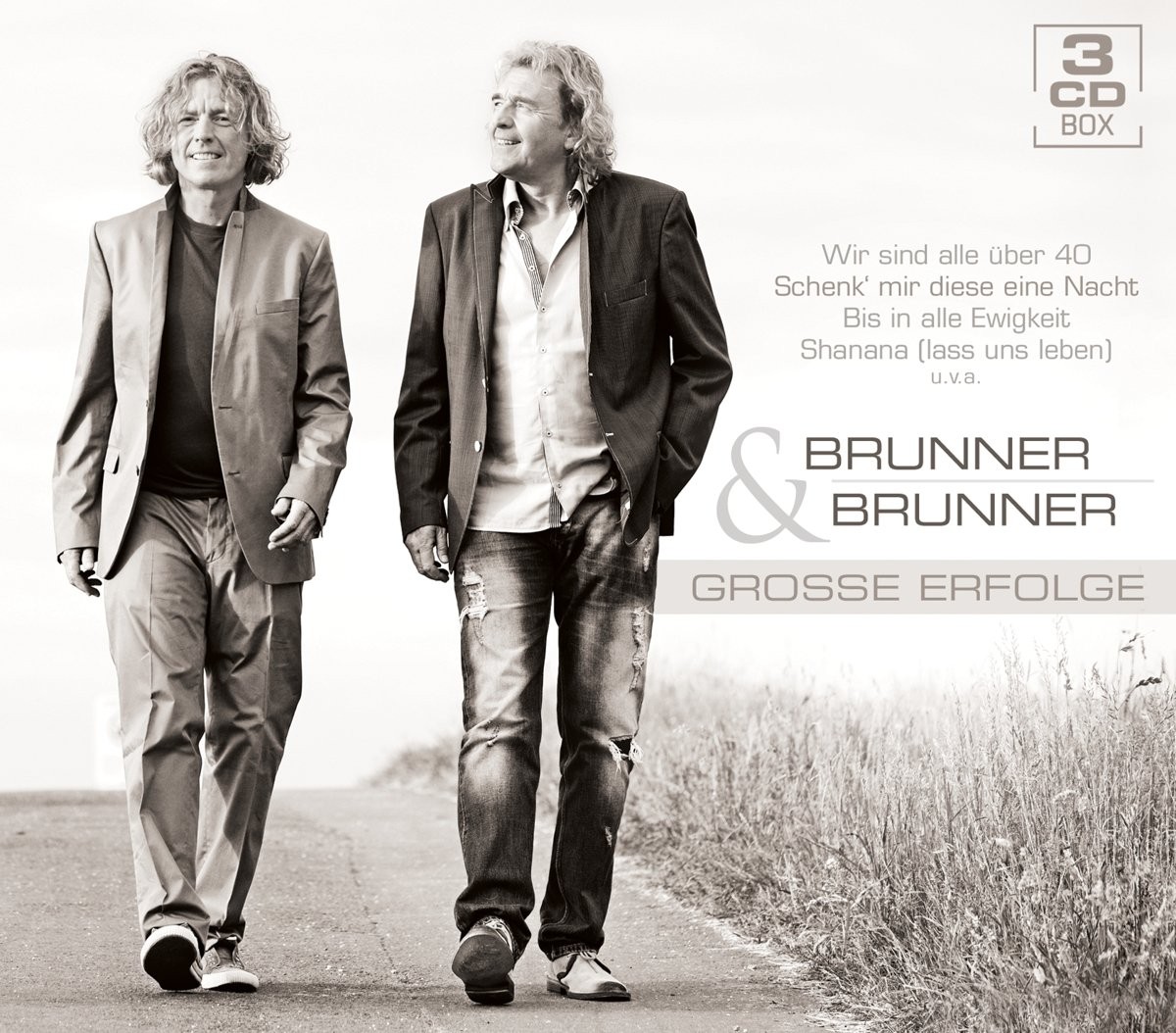 Brunner & Brunner Große Erfolge (CD)
