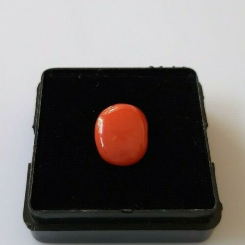 Cabochon corallo giapponese 2 carati, corallo rosso ovale naturale 100%, gemma mare sciolto. - Foto 2 di 6