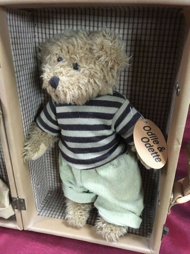 Peluche nounours dans sa valise avec ses vetements de rechange - Photo 5/8