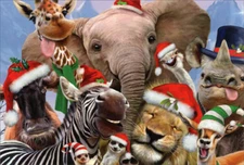 Elephant, Giraffe, Zebra, Lion, Rhino Funny Faces Howard Robinson Christmas Card