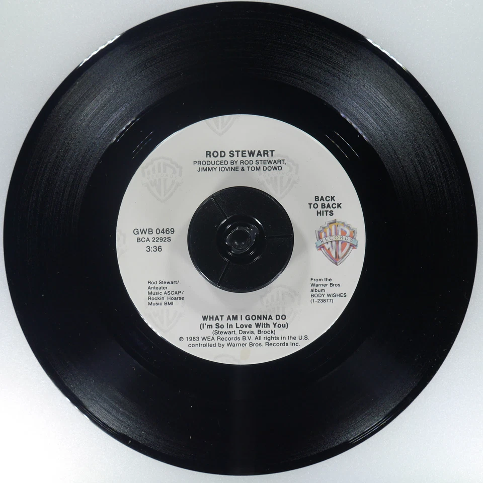 ROD STEWART Baby Jane / What Am I Gonna Do WARNER BROS GWB 0469 NM 45rpm - Image 4 of 4