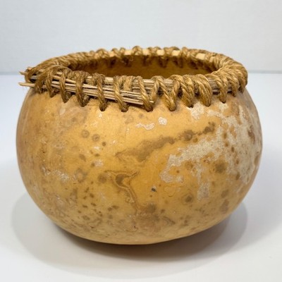 Handmade Gourd Basket Bowl Natural Woven Rim Organic Vessel 7 Inch Rustic Art