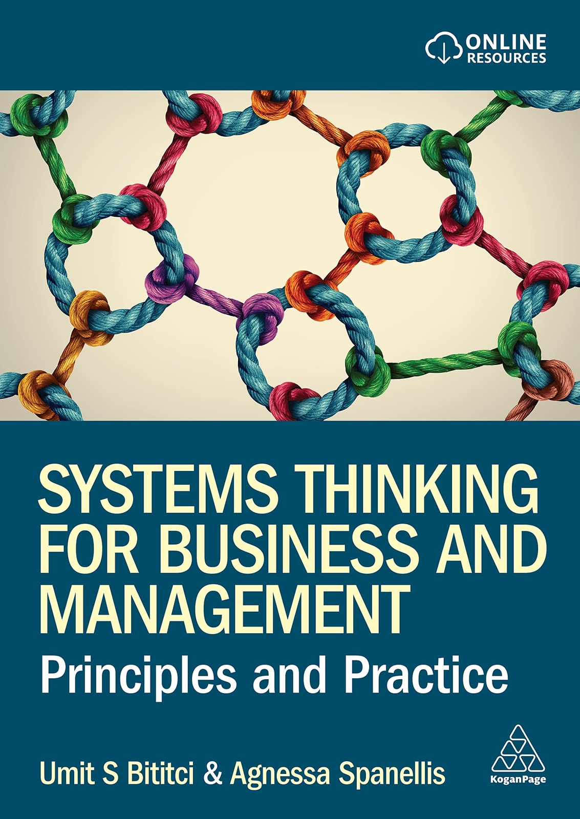 Systems Thinking for Business and Management : Principles and Practice - PBK