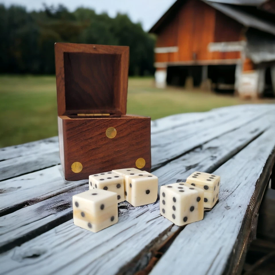 6 dados D6 de hueso de camello únicos raros dados cuadrados de seis caras de 16 mm con caja de madera de teca Foto 3 de 4