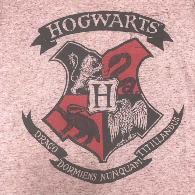 Draco Dormiens Nunquam Titillandus Harry Potter