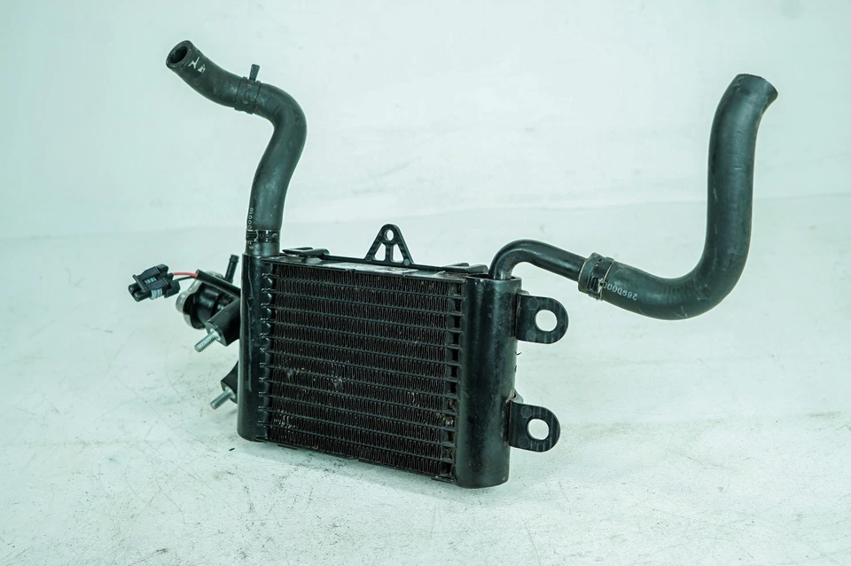 Ventilador central radiador derecho Harley Ultra Electra Touring 16 doble refrigeración 1394 Foto 3 de 4