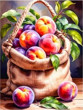 Tile Mural Basket of Peaches Fruit Design Kitchen Bathroom Wall Art Backsplash
