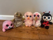 TY Beanie Boos Lot of 5 - IZZY PERRY KIWI FEATHERS PIERRE