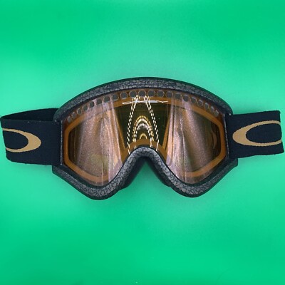 スキー・スノーボードアクセサリー Oakley オークリー、トップアスリートが開発・デザインを手掛けた2022