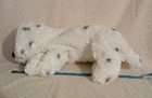 Bild 2 von 10