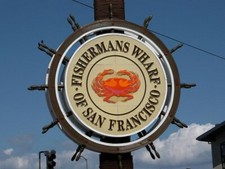 yeast sourdough from the wharf in san francisco 100 yrs old very active TANGY