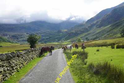 Photo 6x4 Ponies on the road in Nant Ffrancon Braichmelyn They drifted ha c2015