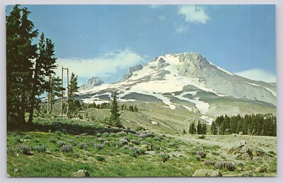 OR Mount Hood Viewed From Timberline Lodge, Chrome Unposted Staple Holes