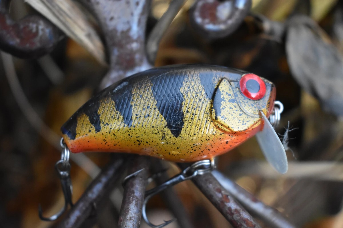 bass painted metal lures Custom Painted Crankbait Howell Custom Golden Perch custom painted fishing  lures