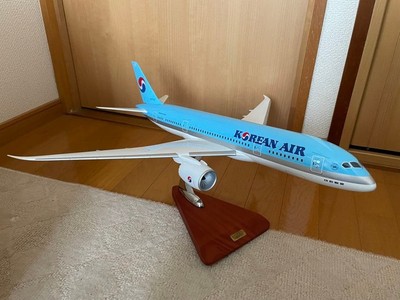 KAL B787-8 Maßstab 1/100
