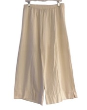 Soft Surroundings Wide Leg Pants Size Large P...