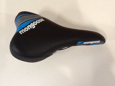 blue and white mongoose bike