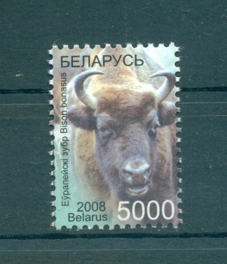 FAUNA WILDE - BELARUS 2008 Common Stamp Set