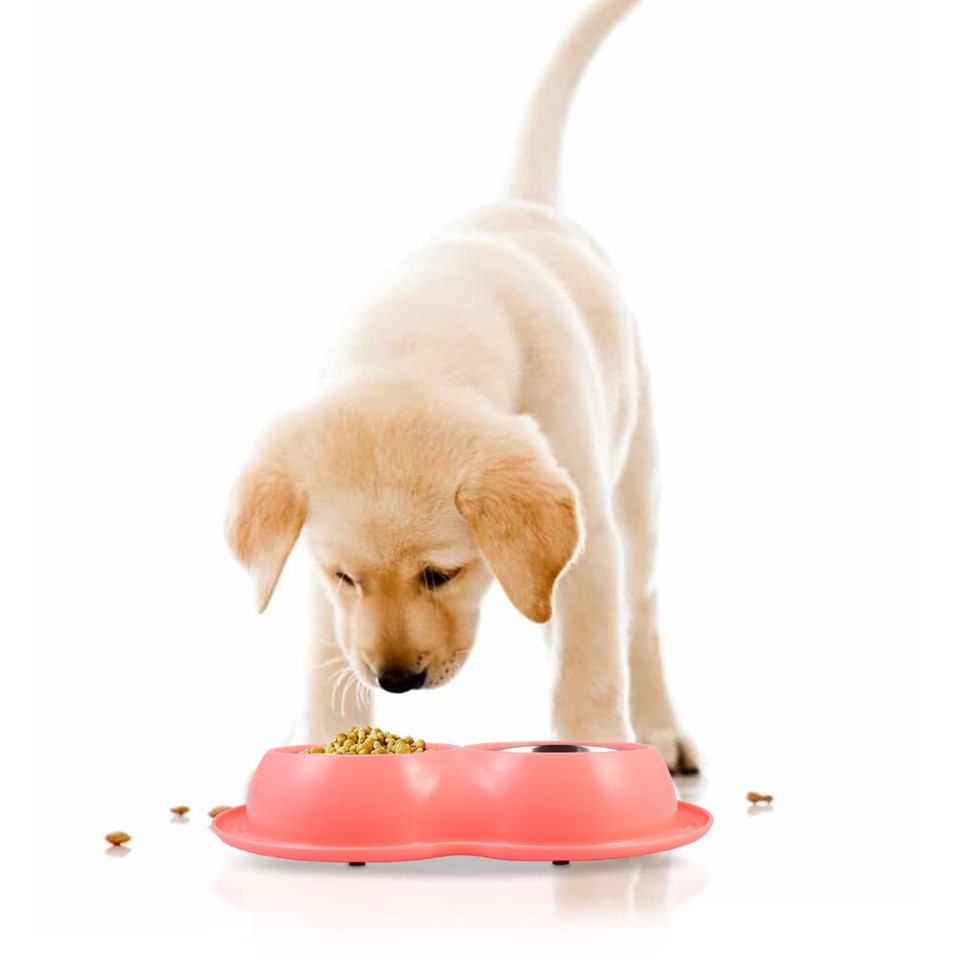 Dog Water Bowl Raised Dog Feeder Guinea Pig Food Bowl Cat Bowls Food