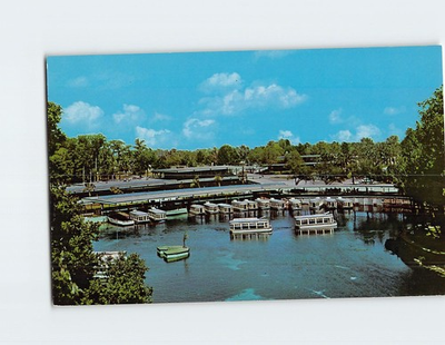 #ad #ad Postcard View of Boat Docks Near Friendly Ocala Florida#x27;s Silver Springs USA $3.49