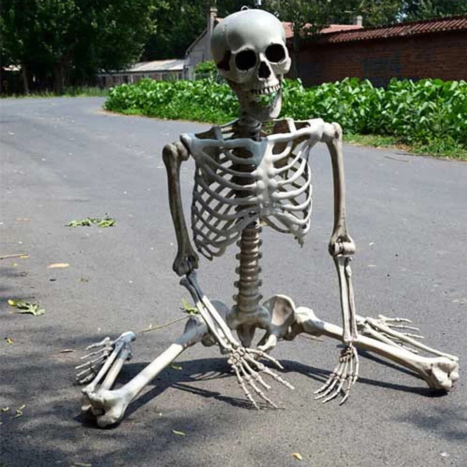 Giant Life Size Human Skeleton Model Horror Bone Posable Halloween Decor 2