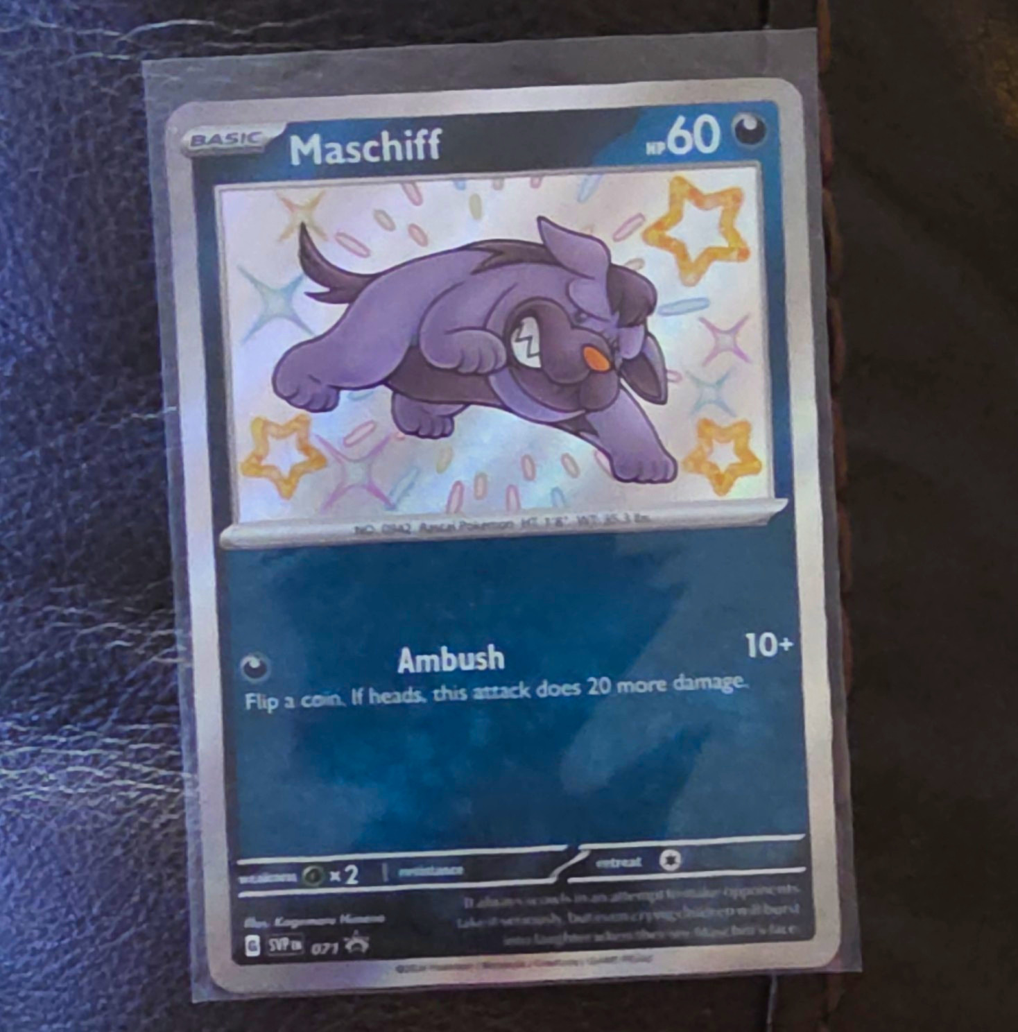 The Pokémon Company Maschiff 071 SV Promo Holo Basic English 60 HP